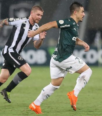 Botafogo 2 - 1 Palmeiras - Brasileirão 2020