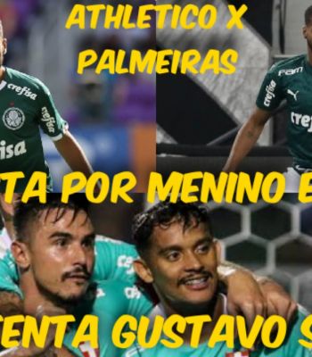 RESUMÃO DO PALESTRA - 19/08/2020